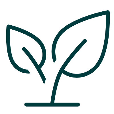 Teho Leaf Icon